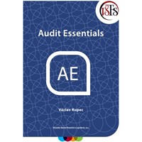 Audit Essentials